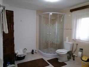 ein Bad mit einer Dusche und einem WC. in der Unterkunft Casa Michel 