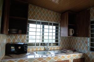 kuchnia ze zlewem i oknem w obiekcie Holly House w mieście Oshien