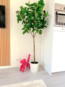 a pink teddy bear sitting next to a potted tree at Thuishaven in Vlissingen