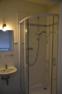 y baño con ducha y lavamanos. en Pension Altwahnsdorf en Radebeul