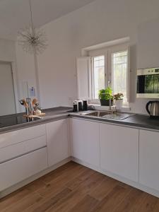 Kuchyň nebo kuchyňský kout v ubytování Villa The Green Door - Casa Vacanze vicino a Roma + 8 fotografií