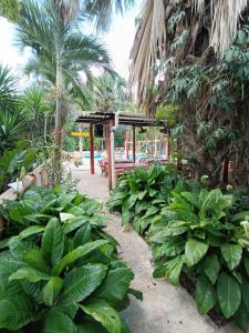 un jardín con plantas verdes y estructura de madera en Centro Social Ecoturistico La Alberca, en José María Morelos