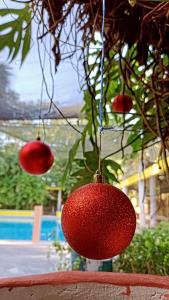 dos bolas rojas colgando de un árbol junto a una piscina en Centro Social Ecoturistico La Alberca, en José María Morelos