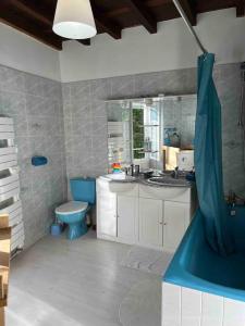 bagno con doccia blu e lavandino di Maison en vallée d’Ossau a Sainte-Colome