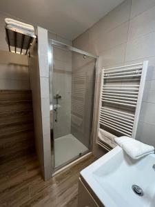 a bathroom with a shower and a sink at U Rybnikářů in Znojmo