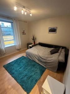 a bedroom with a bed and a green rug at Lombard Hide Away in Inverness +1 photo