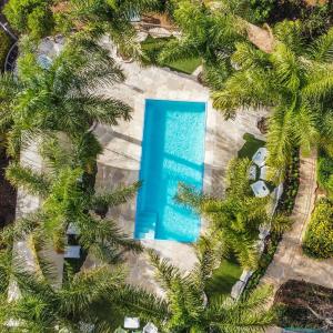 an overhead view of a swimming pool with palm trees at Song of Galilee in Elifelet