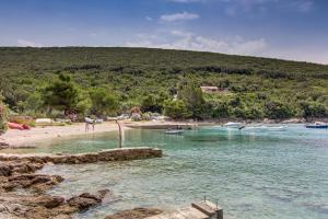 a group of people on a beach with boats in the water at Apartment Lumanera Stivan in Štivan