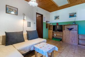 ein Wohnzimmer mit einem Sofa und einem TV in der Unterkunft Apartment Lumanera Stivan in Štivan