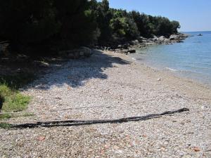 a rocky beach with trees and the water at Apartment Lumanera Stivan in Štivan +23 photos