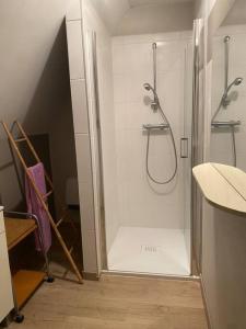 y baño con ducha y puerta de cristal. en Location duplex tout confort, en Erquinghem-Lys