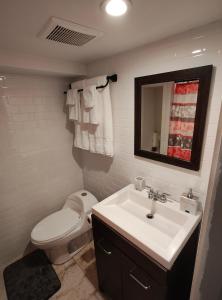 ein Badezimmer mit einem WC, einem Waschbecken und einem Spiegel in der Unterkunft JD COZYNEST LLC in Shirley