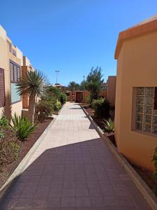 una passerella tra due edifici con palme di Bahia Sol Dream -Caleta de Fuste- a Caleta De Fuste