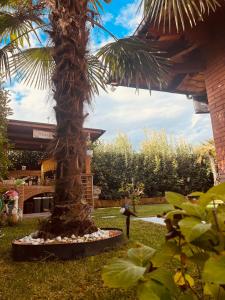 a palm tree sitting in the grass next to a building at Serendipity in Bentivoglio