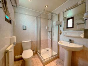 a bathroom with a shower and a toilet and a sink at Hôtel Spa & Restaurant Ô Pervenches in Chambéry +37 photos