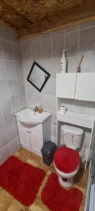 uma casa de banho com WC e um lavatório com tapetes vermelhos em Cabañas San Alfonso em Chile Chico