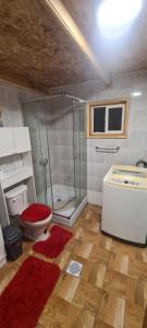uma casa de banho com um chuveiro e um WC. em Cabañas San Alfonso em Chile Chico