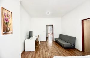 卡罗维发利Apartment Erika的带沙发和桌子的客厅