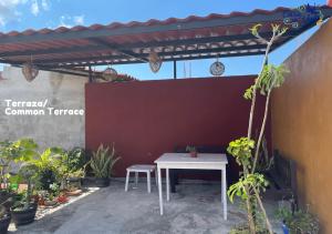 einen weißen Tisch und einen Stuhl auf einer Terrasse mit Pflanzen in der Unterkunft Casa de Yoli in Cozumel