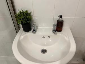 a white sink in a bathroom with a potted plant at De Luxe Apartment in Leicester