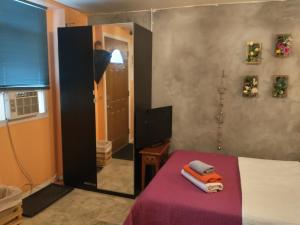 1 dormitorio con cama y espejo en una habitación en Cozy ground floor rooms at the heart of Jackson Heights, en Queens
