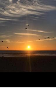 卡帕里卡海岸的住宿－Caparica Apartment near beach，一群鸟在日落时分飞越海滩