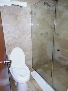 y baño con aseo y ducha. en Hotel Posada del Virrey en Xalapa