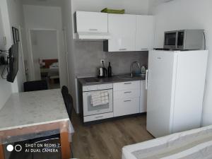 Kuchyňa alebo kuchynka v ubytovaní Apartments by the sea Kuciste - Perna, Peljesac - 4544