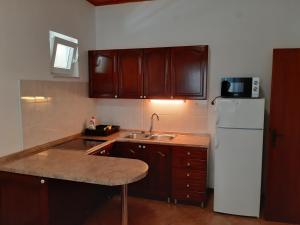 Kuchyň nebo kuchyňský kout v ubytování Apartment Tisno 17716b + 13 fotografií