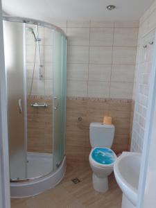 a bathroom with a shower and a toilet and a sink at Noclegi Przy Stadninie in Janów Podlaski +23 photos