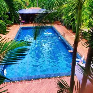 an overhead view of a large blue swimming pool with palm trees at Siam Tara Resort Chiangkhong in Chiang Khong