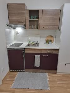 a small kitchen with brown cabinets and a sink at Adam apartmán in Košice