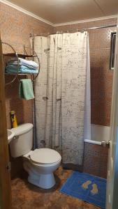 a bathroom with a toilet and a shower curtain at Rincon del Inca in San Pedro de Atacama
