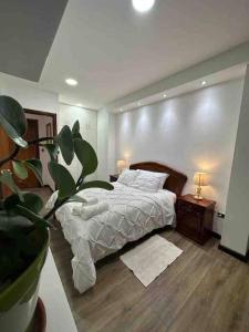 a bedroom with a bed and a potted plant at Sucre Suites Cuenca in Cuenca