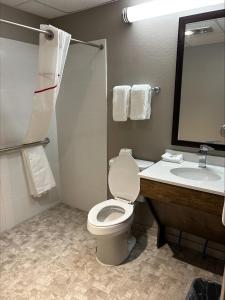 a bathroom with a toilet and a sink at Red Roof Inn Norwich in Norwich