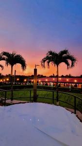 San José的住宿－Quinta El Molino，日落时在公园里种满棕榈树的长凳