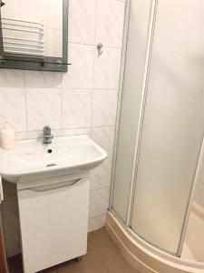 un bagno con lavandino e doccia di Apartament-Minihotel Elpida a Lviv