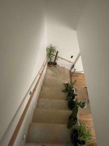 una scala con piante in vaso in una stanza di Maison moderne au calme a Saint-Vallier