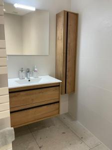 un bagno con lavandino e specchio di Maison moderne au calme a Saint-Vallier