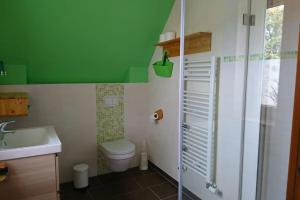 a green bathroom with a toilet and a sink at Ferienwohnung LeoFix in Klütz