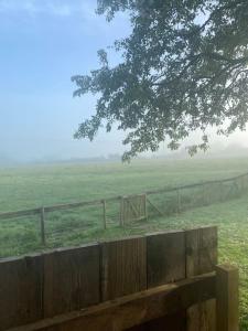 a field with a fence and a field with a cow at Glen Erin Hut in Gillingham