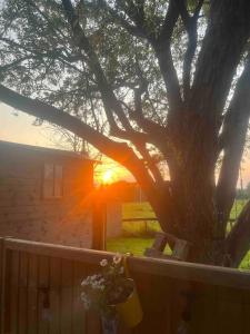 un árbol frente a una casa con la puesta de sol en Glen Erin Hut en Gillingham