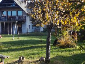 uma árvore no quintal de uma casa em Warthe - Mitten in der Natur em Warthe