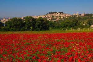Gallery image of Appartamento Da Lucilla in Spello