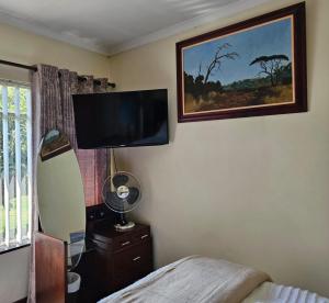 Schlafzimmer mit einem Flachbild-TV an der Wand in der Unterkunft Alberton Africa Away in Alberton