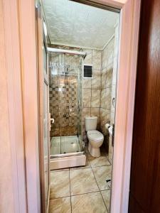 a bathroom with a shower and a toilet at Liman Hotel in Istanbul