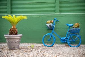 un vélo bleu garé à côté d'un mur vert avec deux plantes en pot dans l'établissement Bohoostel, à Bologne