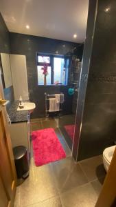 a bathroom with a shower and a pink rug at Stunning double bedroom Greenwich London, in London