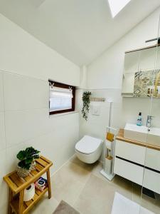 a white bathroom with a toilet and a sink at Vila Milincic Milincic Nest in Banja Luka +2 photos