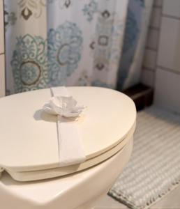 a toilet with a toilet paper on top of it at The Beach House Ground Floor Condo in Coco